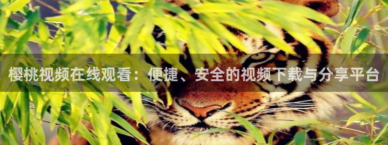 神马影院大片