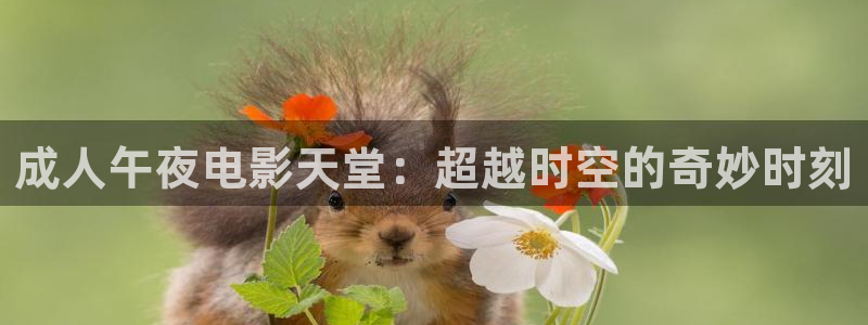 星空国际影城摩尔广场