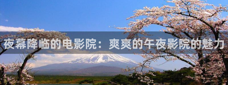 神马影院理论片