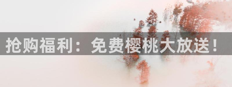 星空影视新版