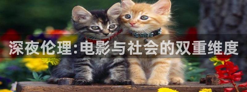 神马影院高清免费观看电视剧软件