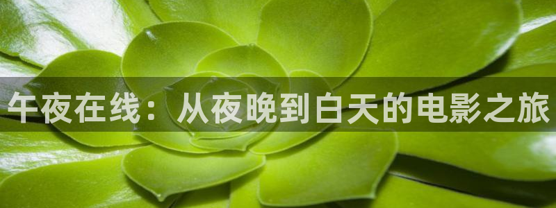 星空传媒电影免费观看