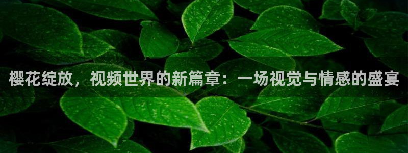 神马影院电视剧在线看