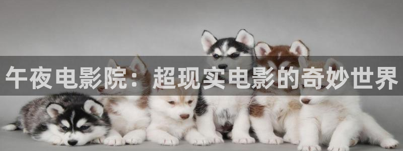 神马影院在线观看免费完整版中文