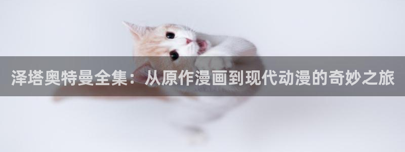 神马影院在线观看影院
