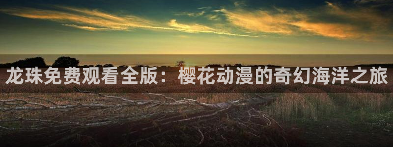 影院星空