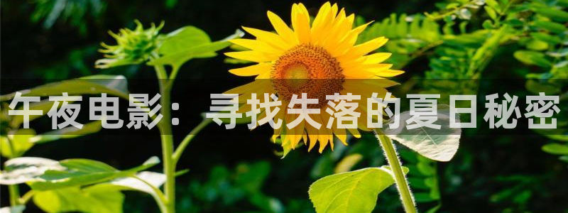 星空影视神马影院