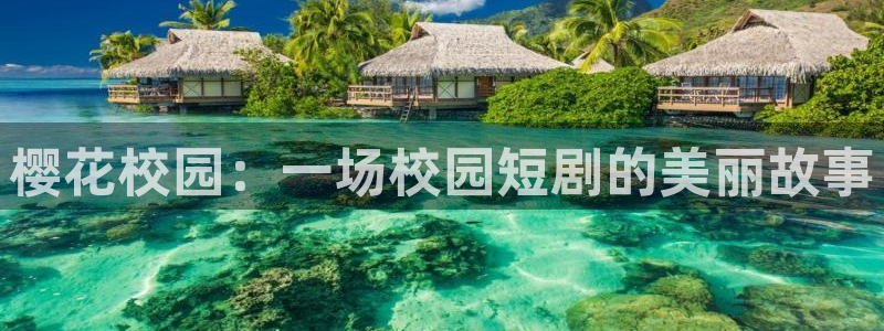 神马影院理论