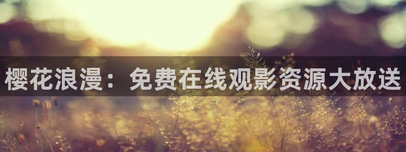 星空视频在线观看完整