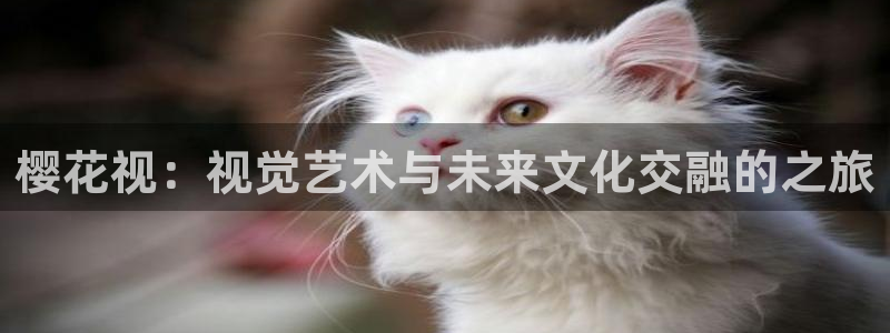 神马影院免