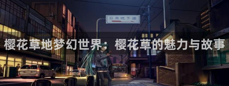 神马影院电视免费看你比星光