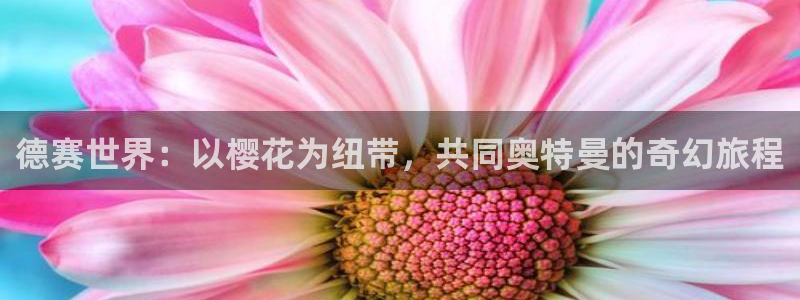 星空影视在线观看高清免费