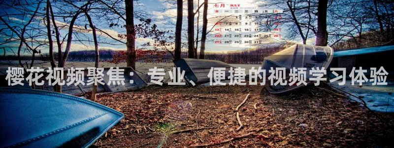 星空影视伦理