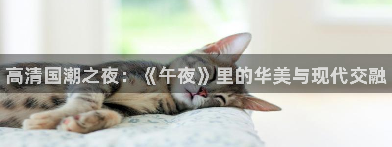 神马影院免费观看电视剧电影下载