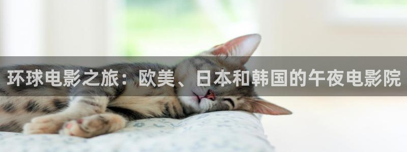星空影视app