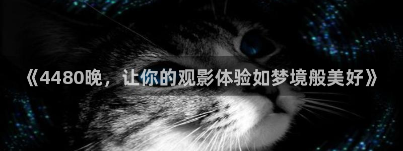 神马影院在线观看电视剧免费观看