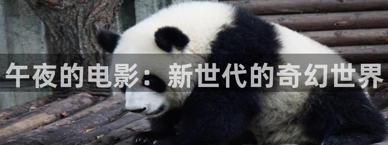 神马影院电影在线观看动漫免费