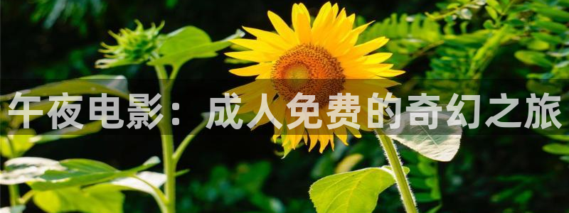 星空无限传媒免费观看电影