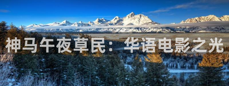 纳雍星空影城