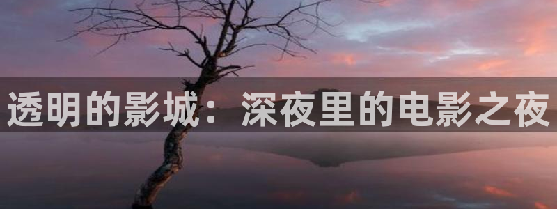 星空无限电视剧免费观看策驰影院