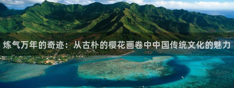 星空影视tv版