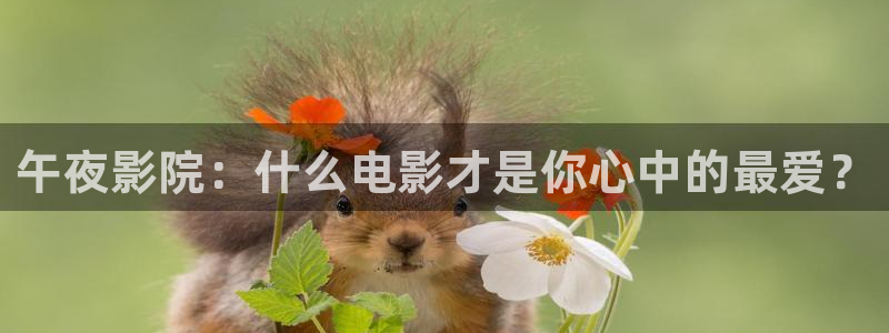 神马影院 在线播放