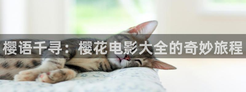 在线观看星空传媒