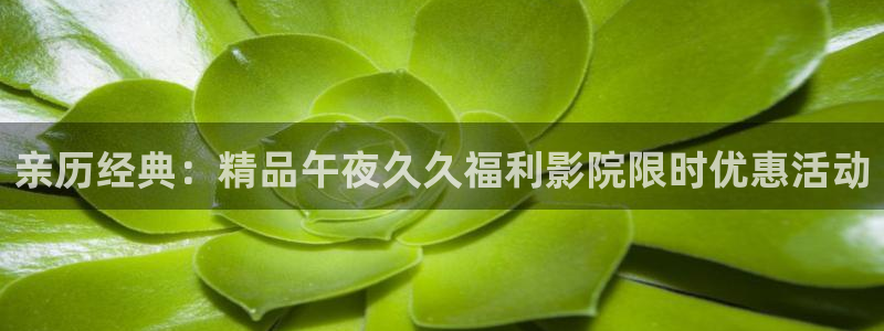 神马影院影视大全